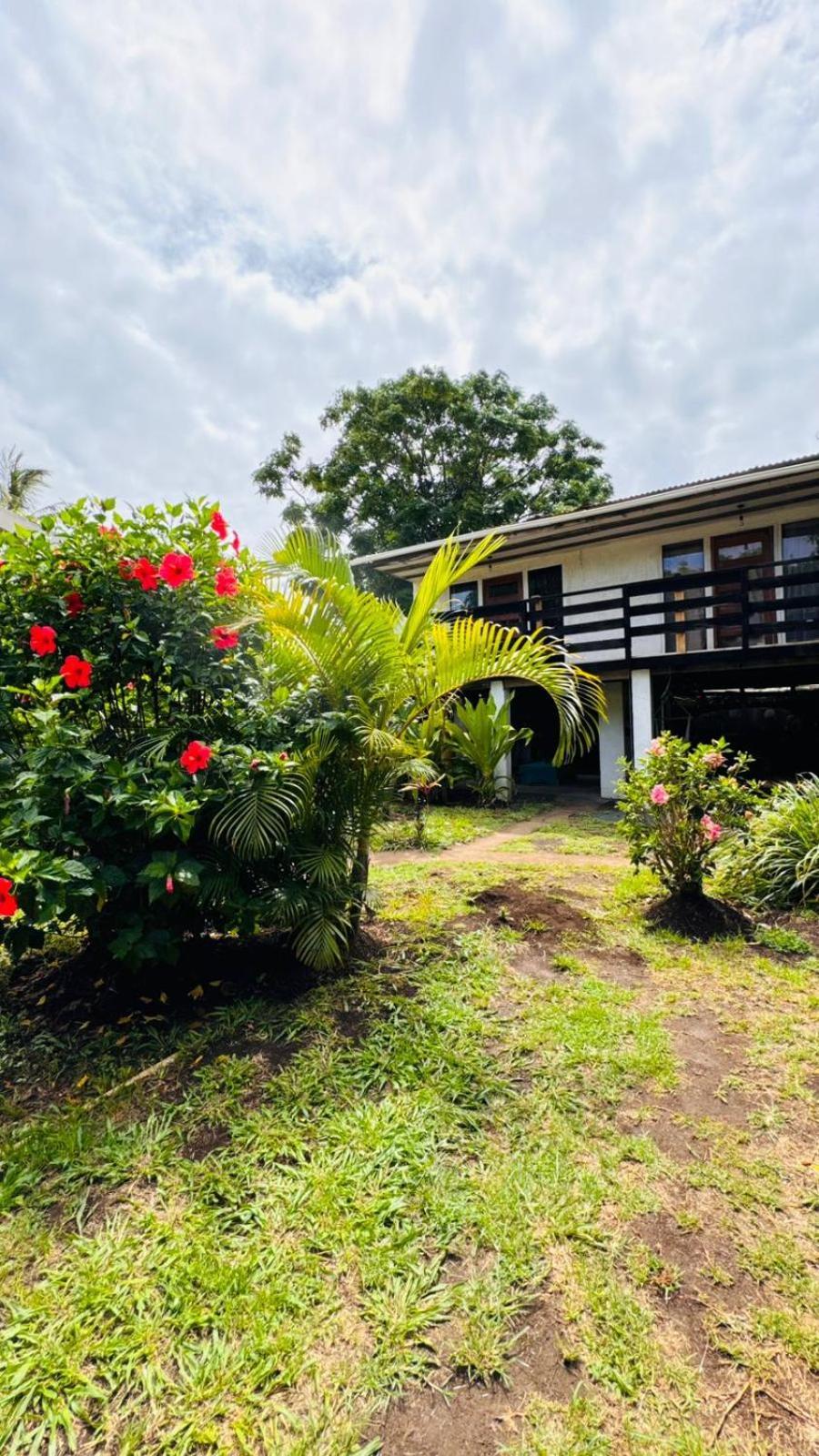 Mata Nui Eco Hostel Ханга Роа Екстериор снимка